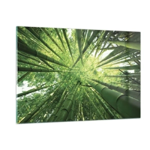 Quadro em vidro - Em um bosque de bambu - 120x80 cm