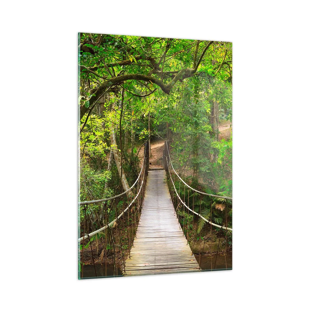 Quadro em vidro - Porque há uma videira a crescer no jardim - 50x70 cm