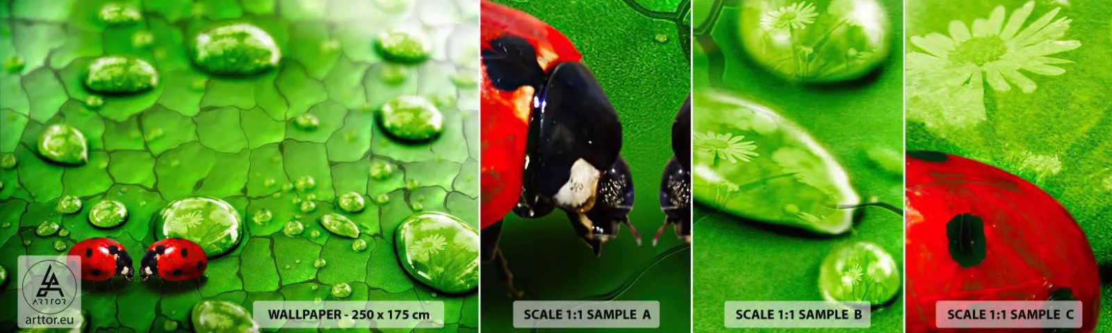 Amostra de Papel de Parede Standard Eco - Reunião em verde - Natureza, Joaninha, Uma gota d'água - 100x30 cm