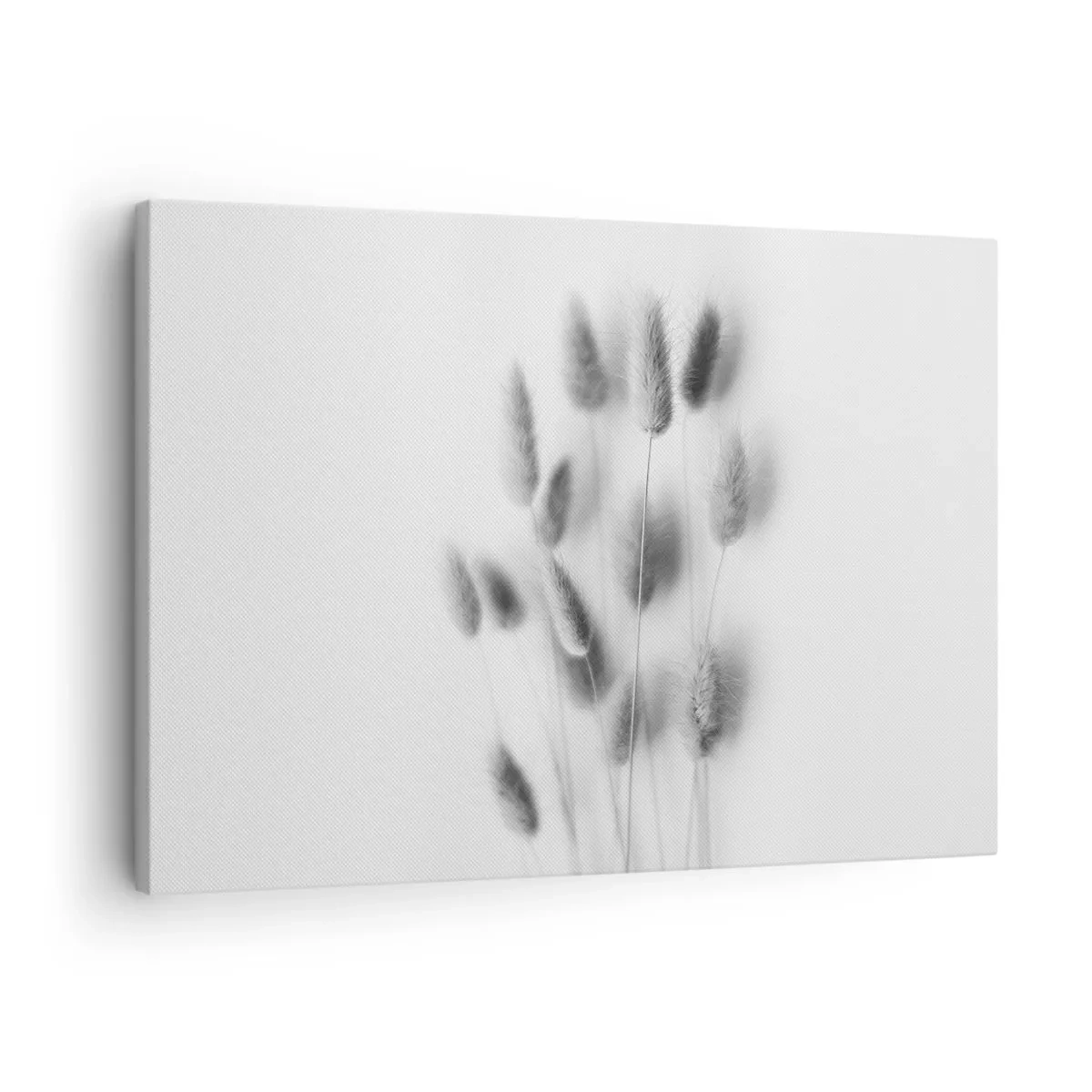 Quadro em tela - Gramíneas delicadas em tons de cinza sobre fundo branco - 70x50cm - Grama fofa - Decoração de parede moderna para a sala de estar e quarto ARTTOR