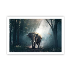 Pôster - Um passeio descontraído - 91x61 cm