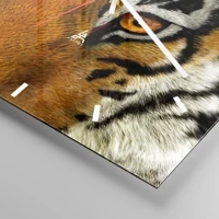 Mostrador com traços