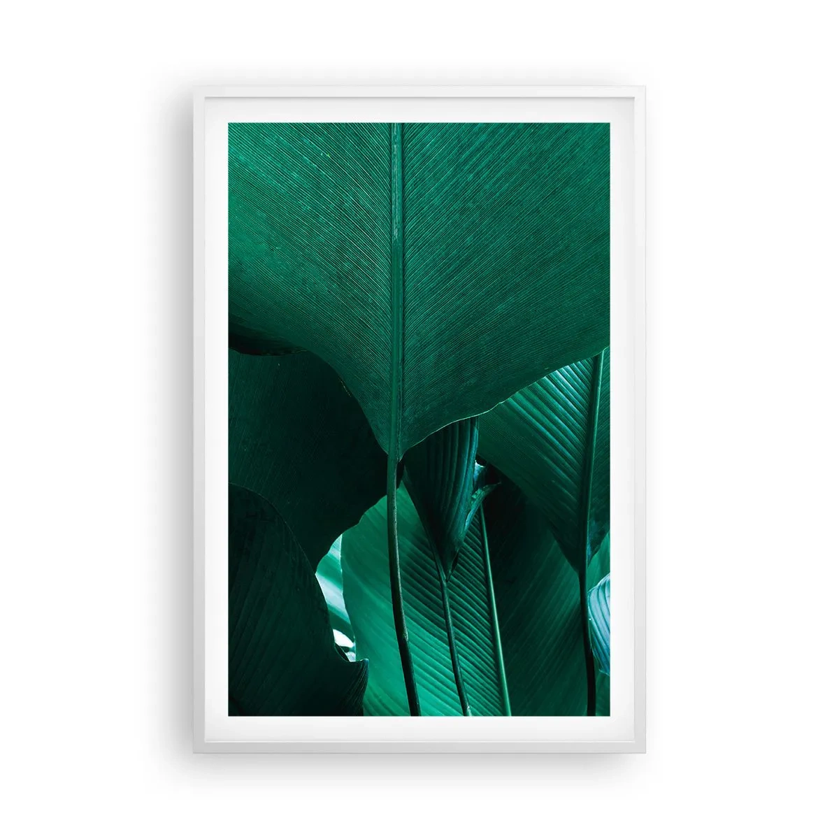 Pôster em moldura branca - De frente para a luz - 61x91 cm