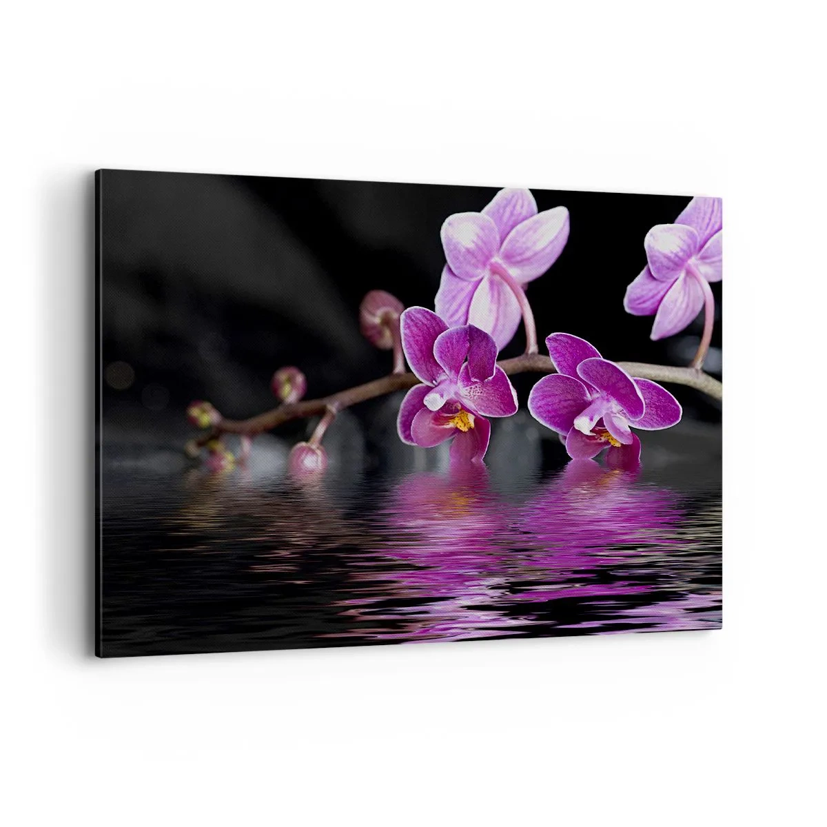 Quadro em tela - Reflexo lilás da beleza - 100x70 cm