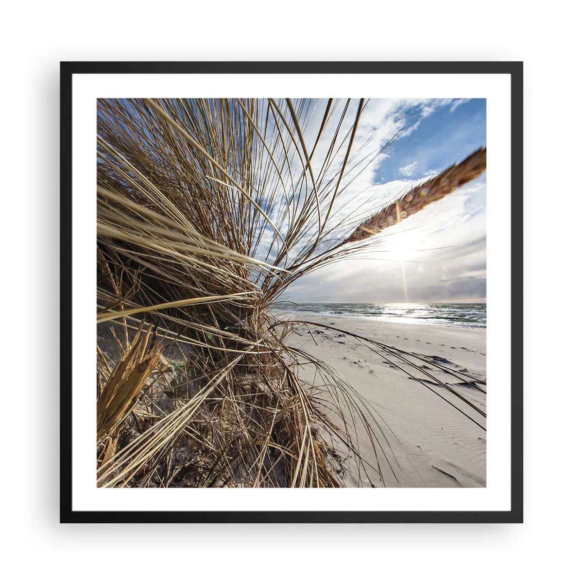 Pôster com moldura preta - Reunião dos rlementos da natureza - 60x60 cm