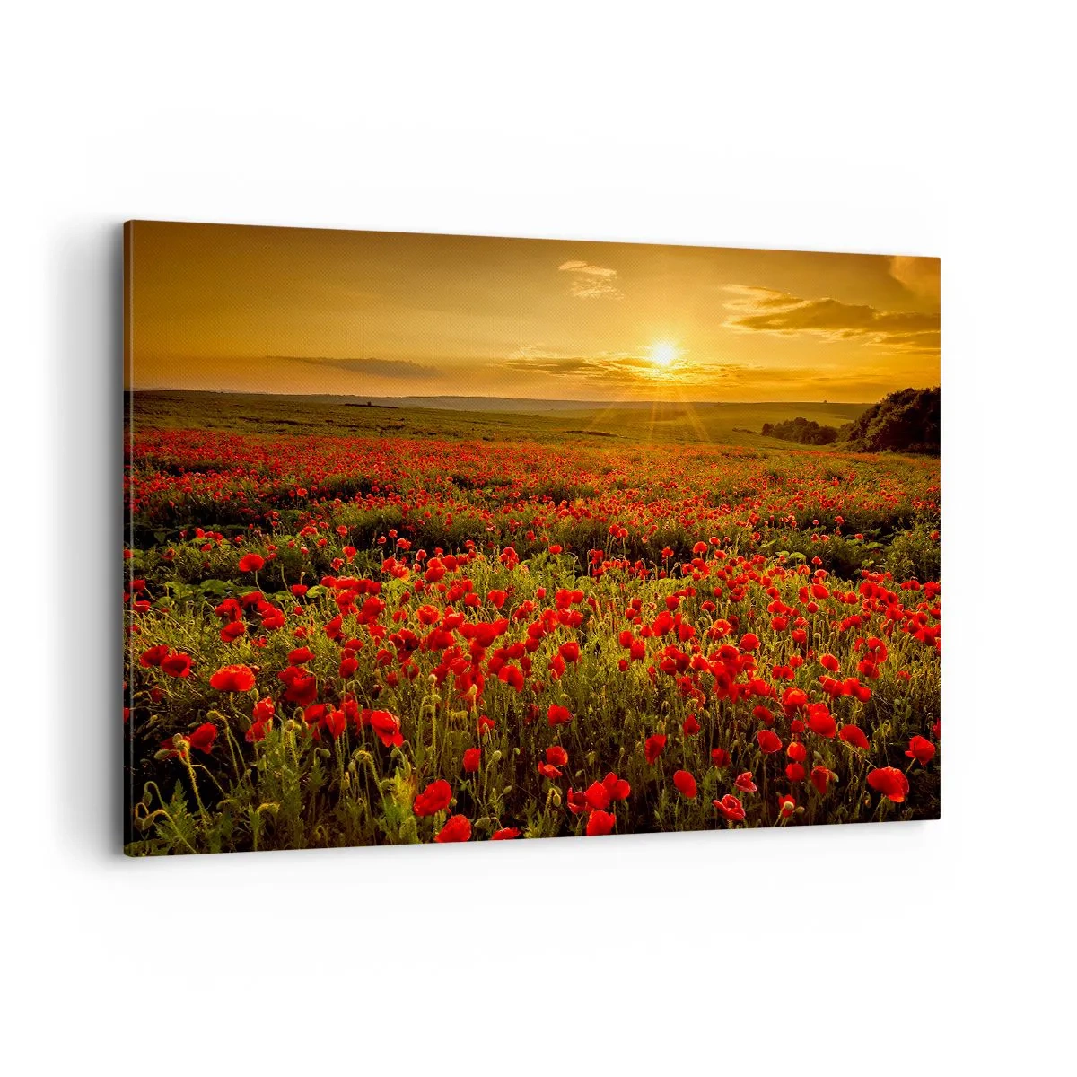 Quadro em tela - Entre o farfalhar da onda de prados, entre o dilúvio das flores - 120x80 cm