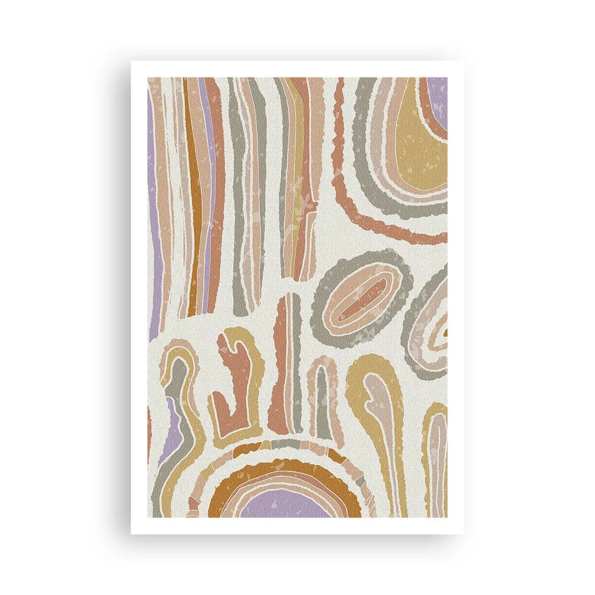 Pôster - Secções transversais coloridas - 70x100 cm