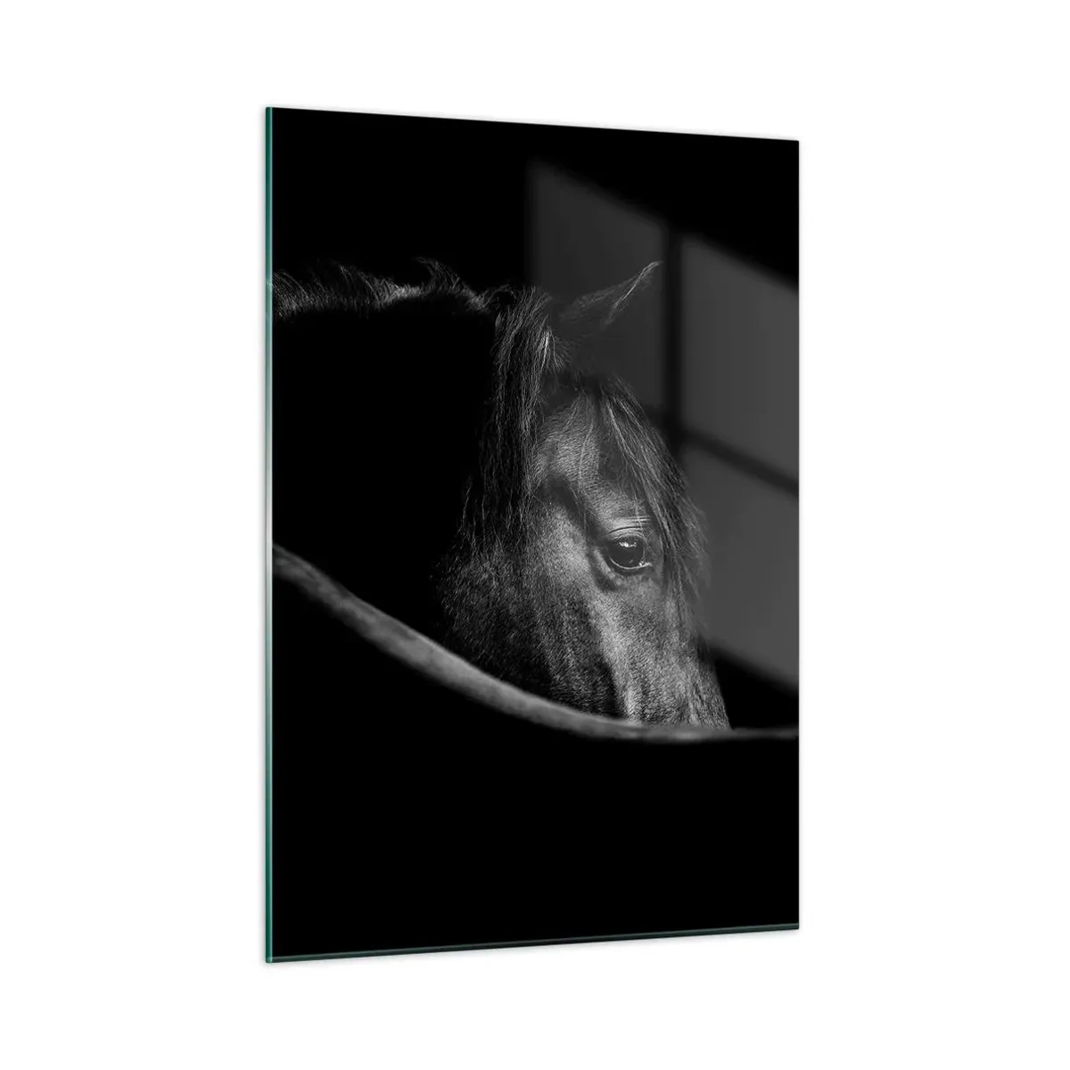 Quadro em vidro - Príncipe Negro - 50x70 cm