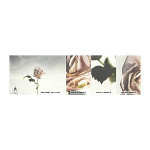 Amostra de Papel de Parede Standard Eco - Boas-vindas da primavera  - Rosa, Flor, Pedaço - 100x30 cm