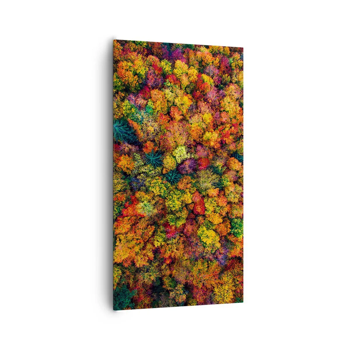 Quadro em tela - Bouquet de árvores de Outono - 65x120 cm