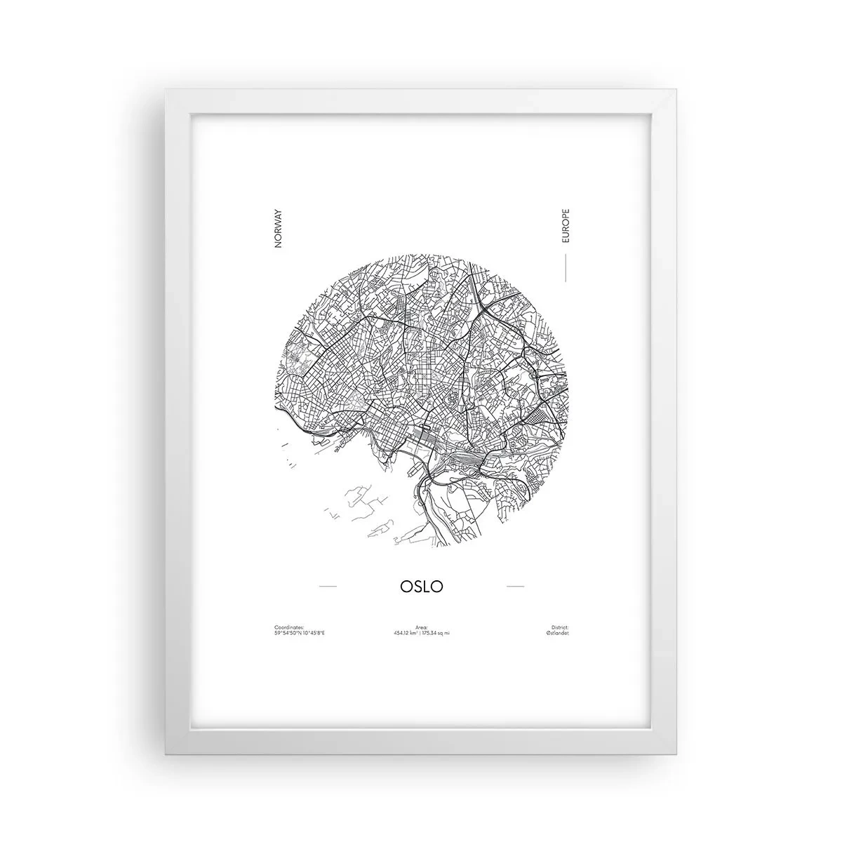 Pôster em moldura branca - Anatomia de Oslo - 30x40 cm
