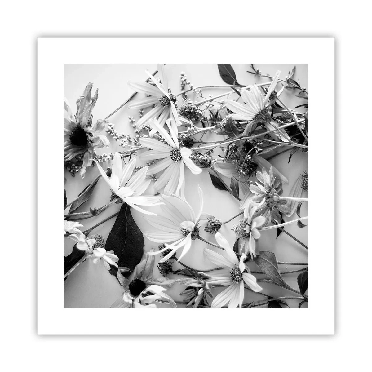 Pôster - Não é um ramo de flores - 40x40 cm
