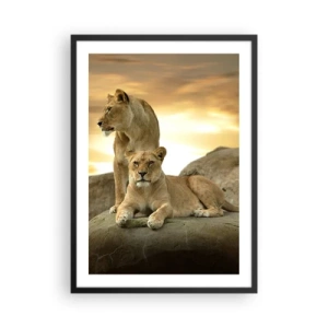 Pôster com moldura preta - Duas leoas contra o pôr do sol - 50x70cm - Majestade real - Decoração de parede moderna para a sala de estar e quarto ARTTOR