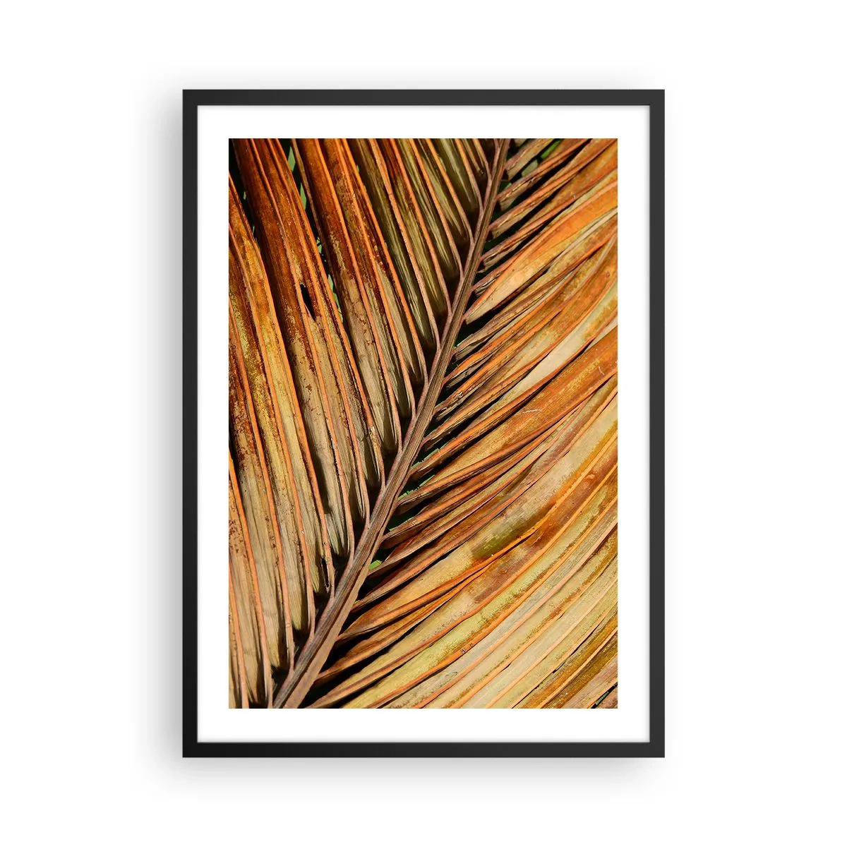 Pôster com moldura preta - Um close de uma folha seca em tons de marrom e dourado. - 50x70cm - Ouro de coco - Decoração de parede moderna para a sala de estar e quarto ARTTOR