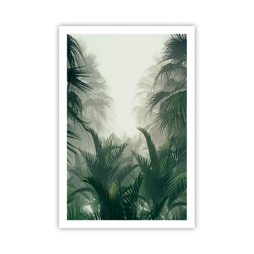 Pôster - Mistério tropical - 61x91 cm