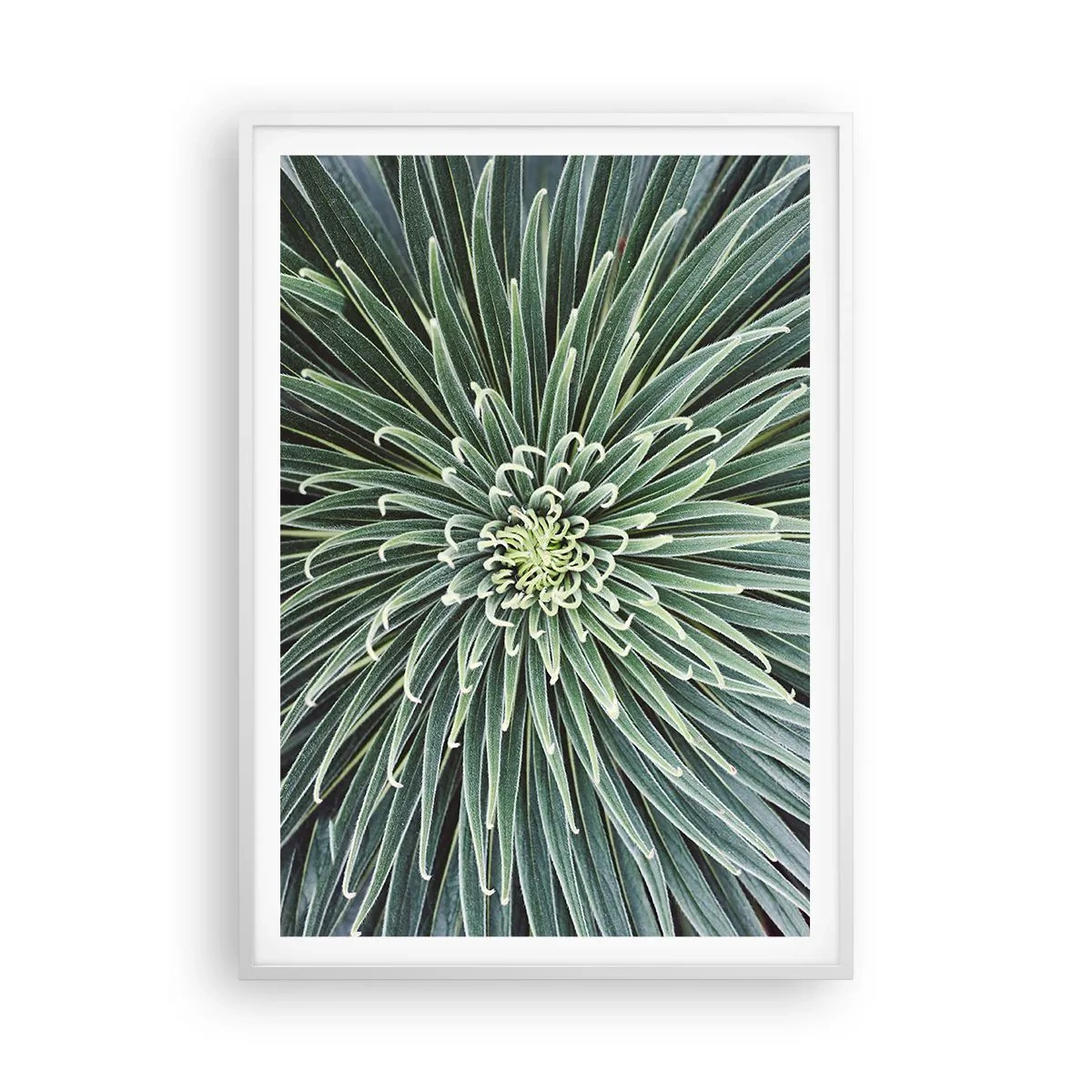 Pôster em moldura branca - Nasce uma estrela - 70x100 cm