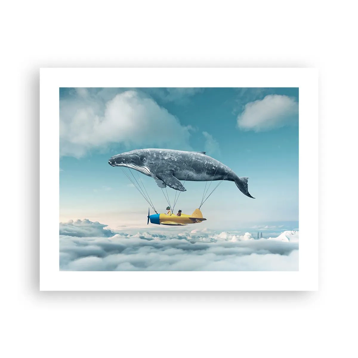 Pôster - Por que não? - 50x40 cm