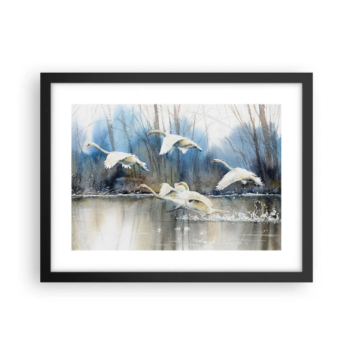 Pôster com moldura preta - Como no conto de fadas sobre cisnes selvagens - 40x30 cm