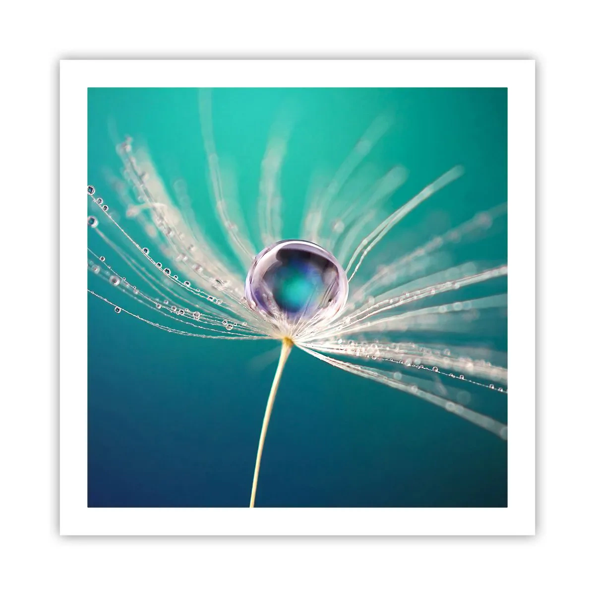 Pôster - Momento místico - 60x60 cm