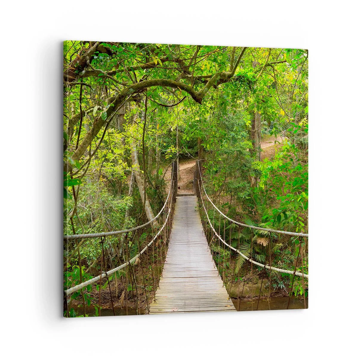 Quadro em tela - Porque há uma videira a crescer no jardim - 60x60 cm