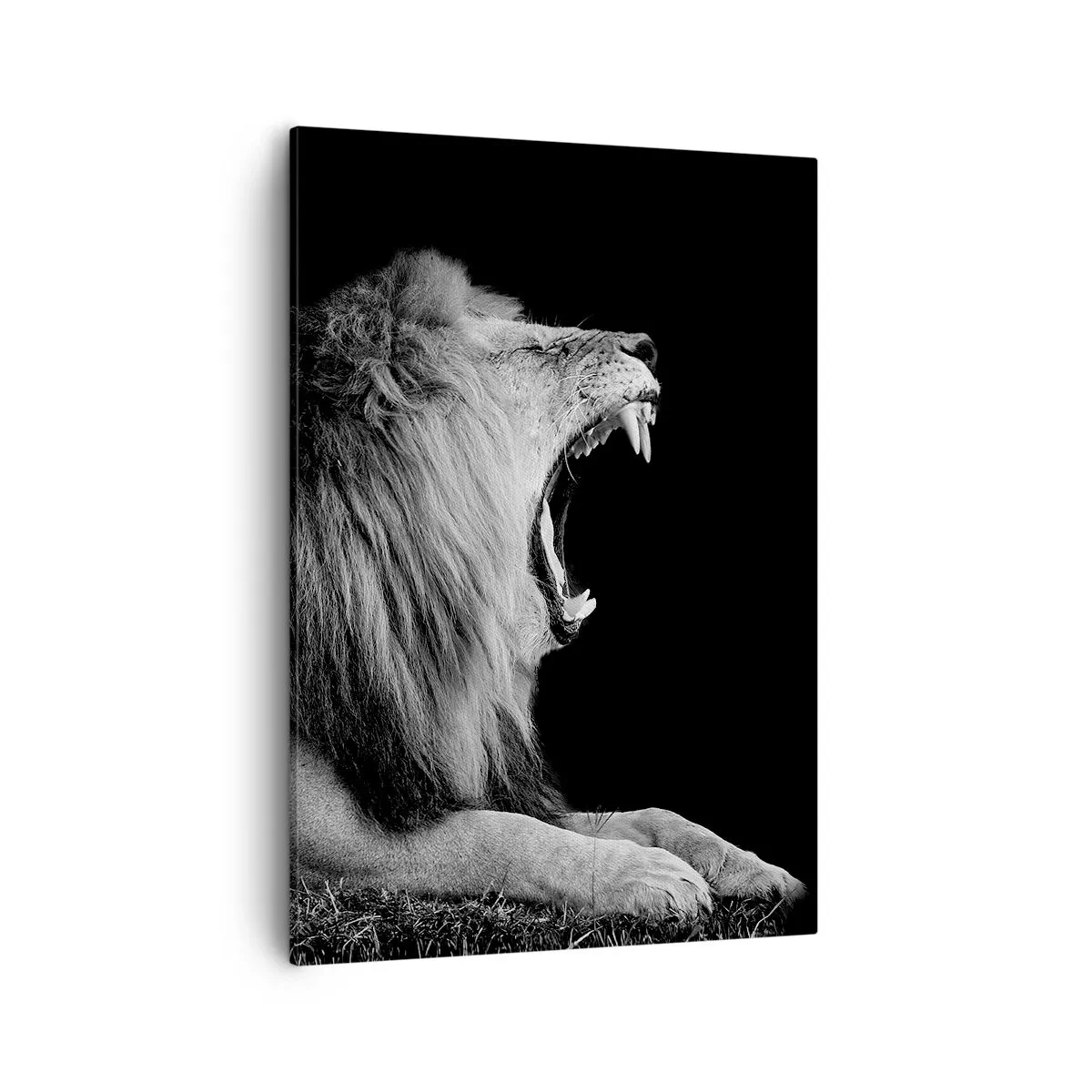 Quadro em tela - Sem dúvida alguma - 50x70 cm