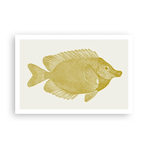 Pôster - Peixe e pronto - 91x61 cm