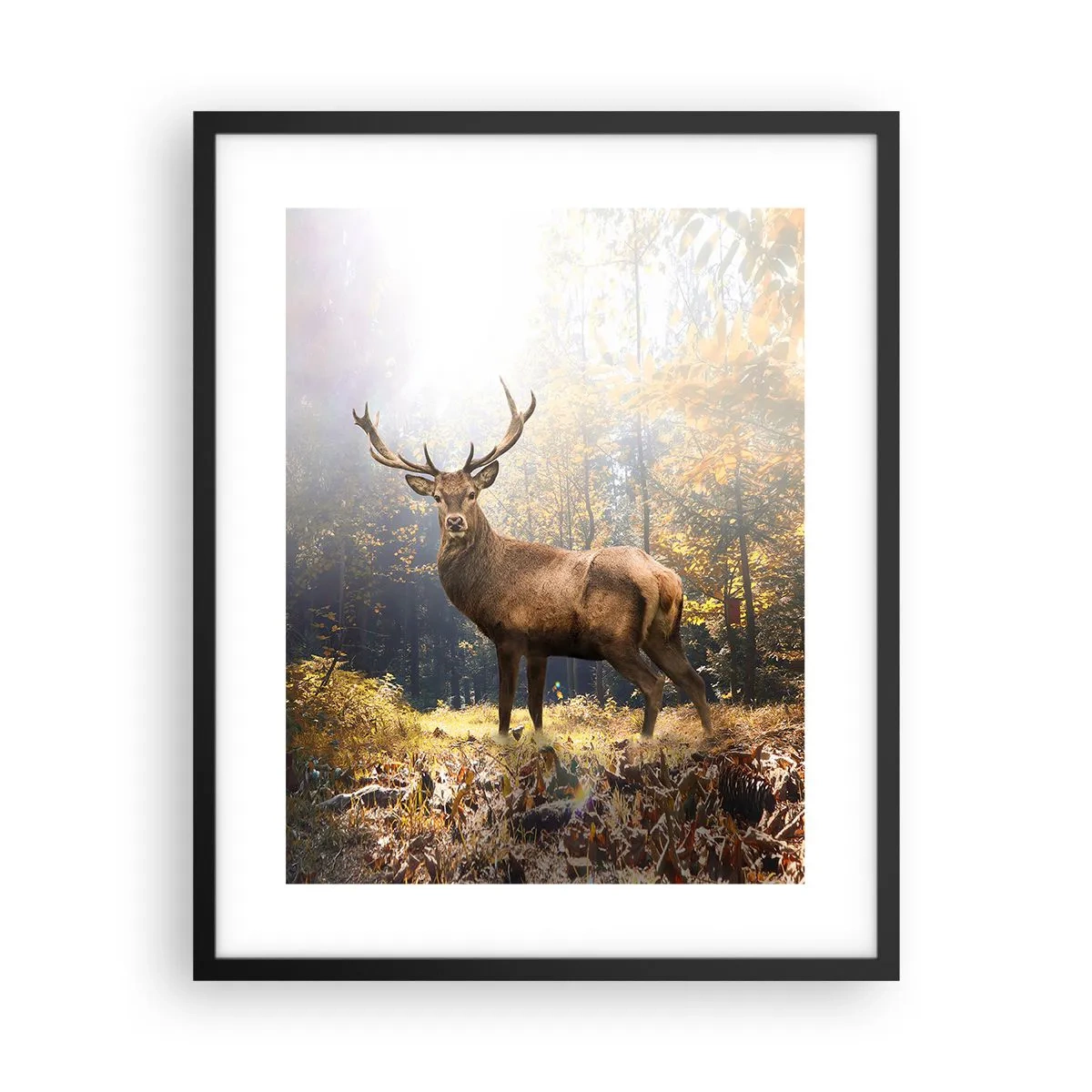 Pôster com moldura preta - Em plena majestade - 40x50 cm
