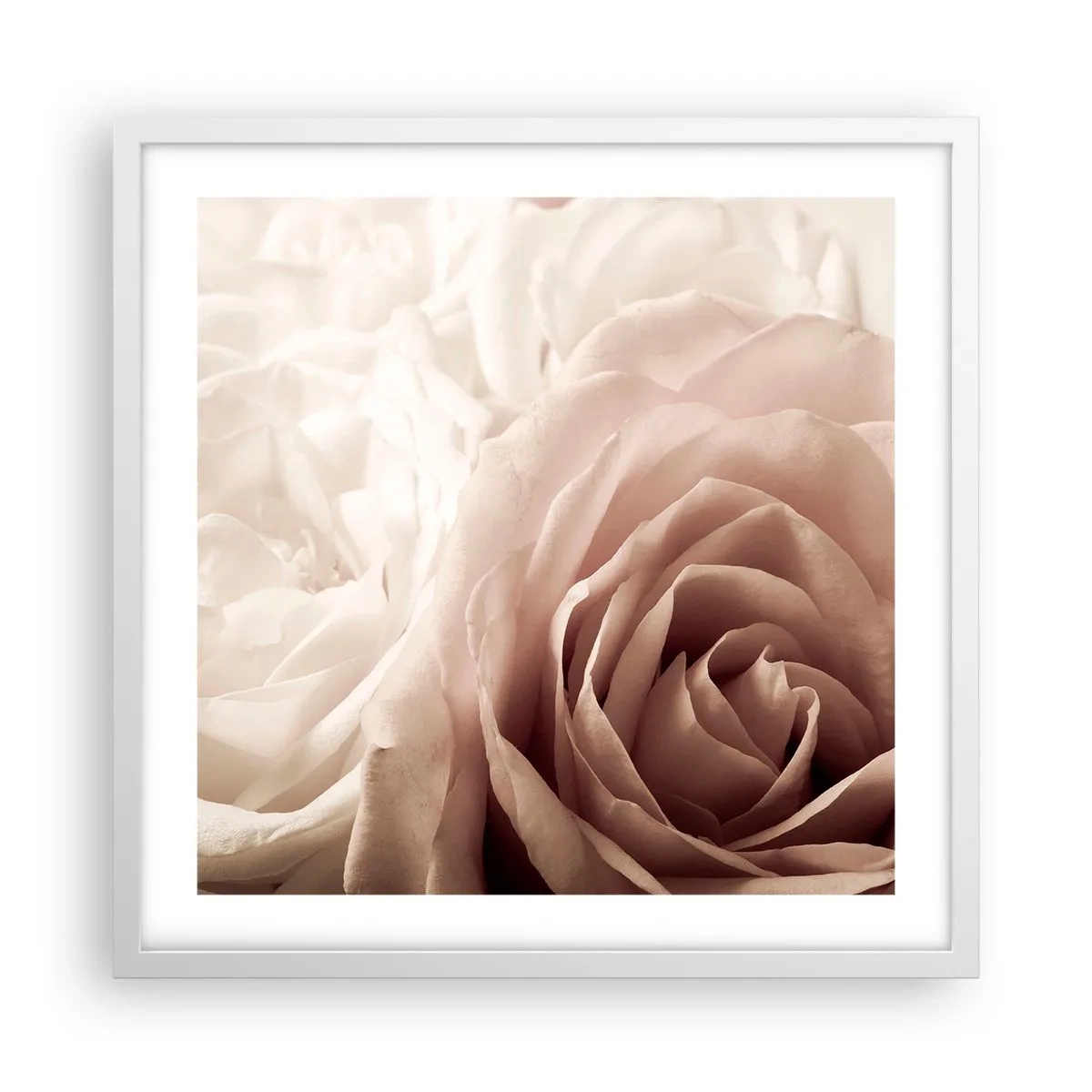 Pôster em moldura branca - No coração de uma rosa - 50x50 cm