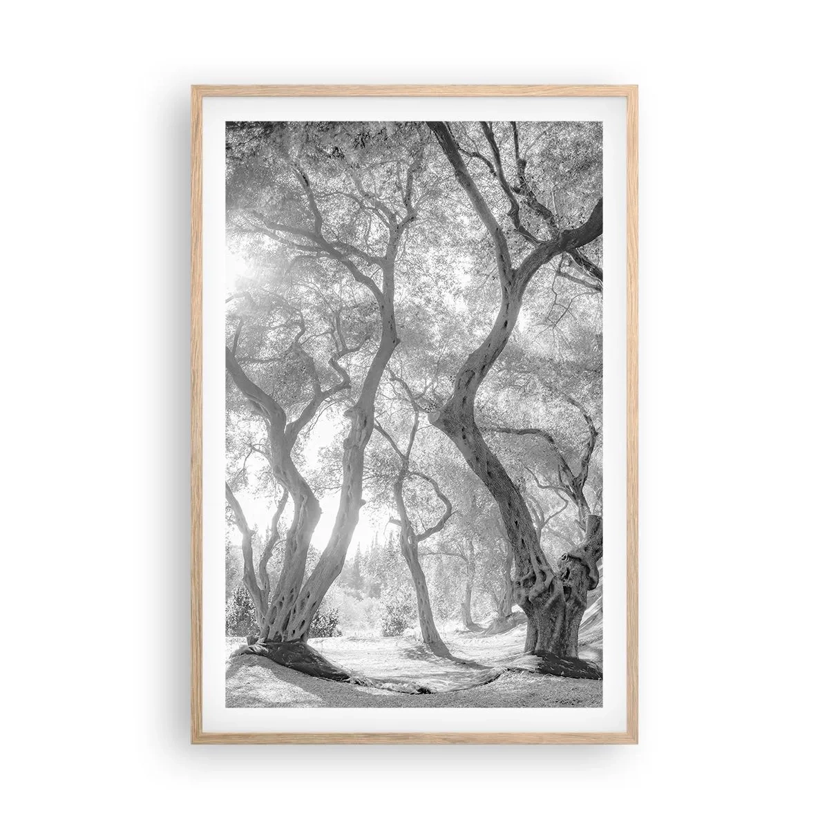 Pôster com moldura de carvalho claro - No olival - 61x91 cm