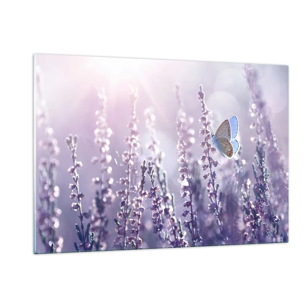 Quadro em vidro - O beijo da borboleta - 120x80 cm