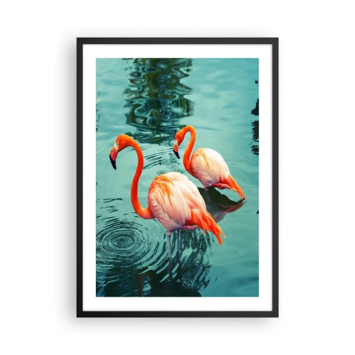Pôster com moldura preta - Dois flamingos em um cenário de águas calmas - 50x70cm - Estamos na moda agora - Decoração de parede moderna para a sala de estar e quarto ARTTOR
