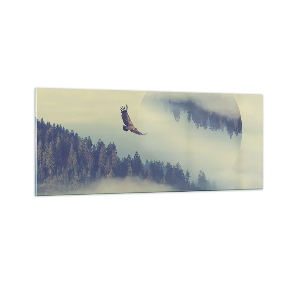 Quadro em vidro - Eu vi a sombra de uma águia - 100x40 cm