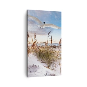 Quadro em tela - Vento do mar - 45x80 cm