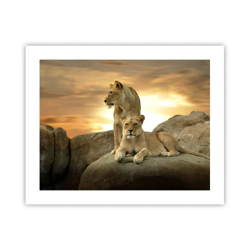 Pôster - Majestade real - 50x40 cm