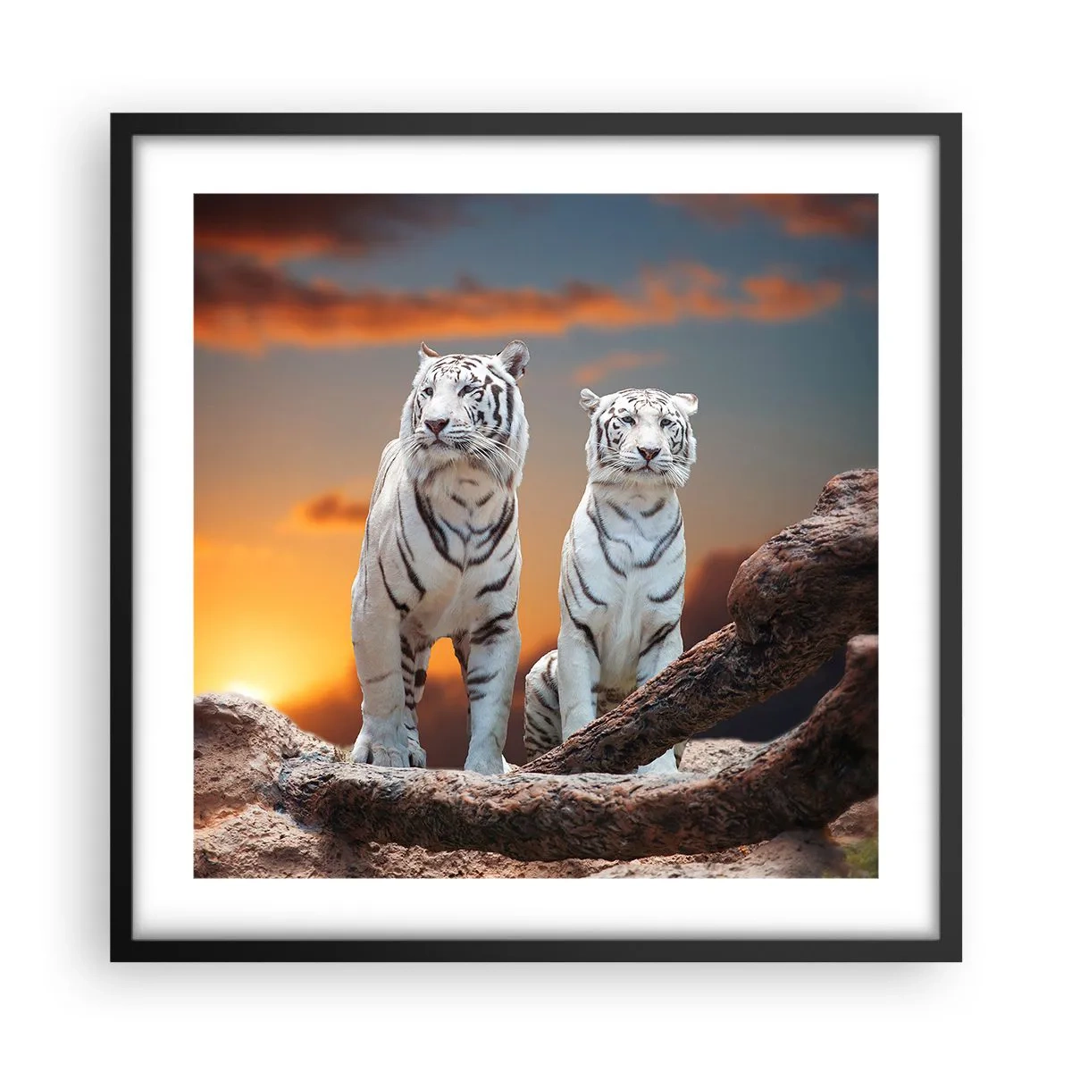 Pôster com moldura preta - Tal como em Nárnia - 50x50 cm