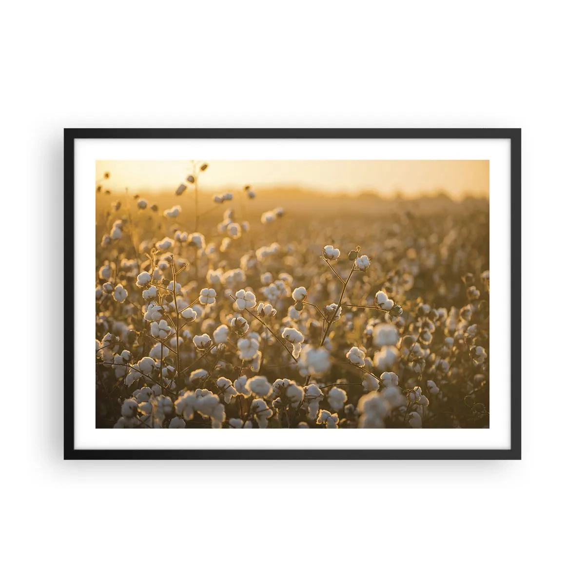 Pôster com moldura preta - Campo macio - 70x50 cm