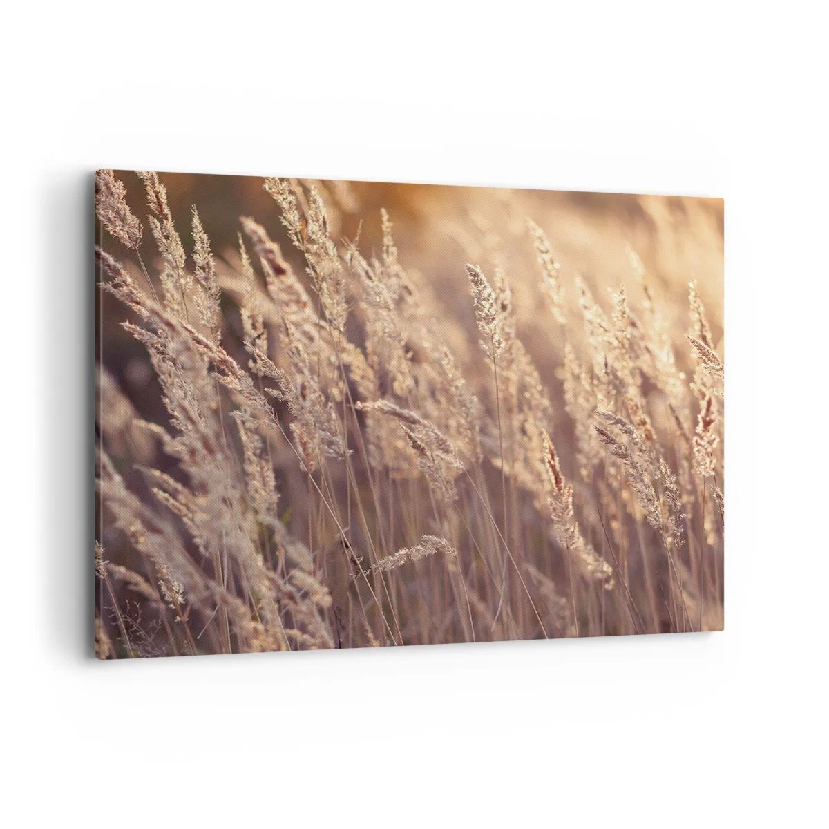 Quadro em tela - Pronto para receber o outono - 100x70 cm