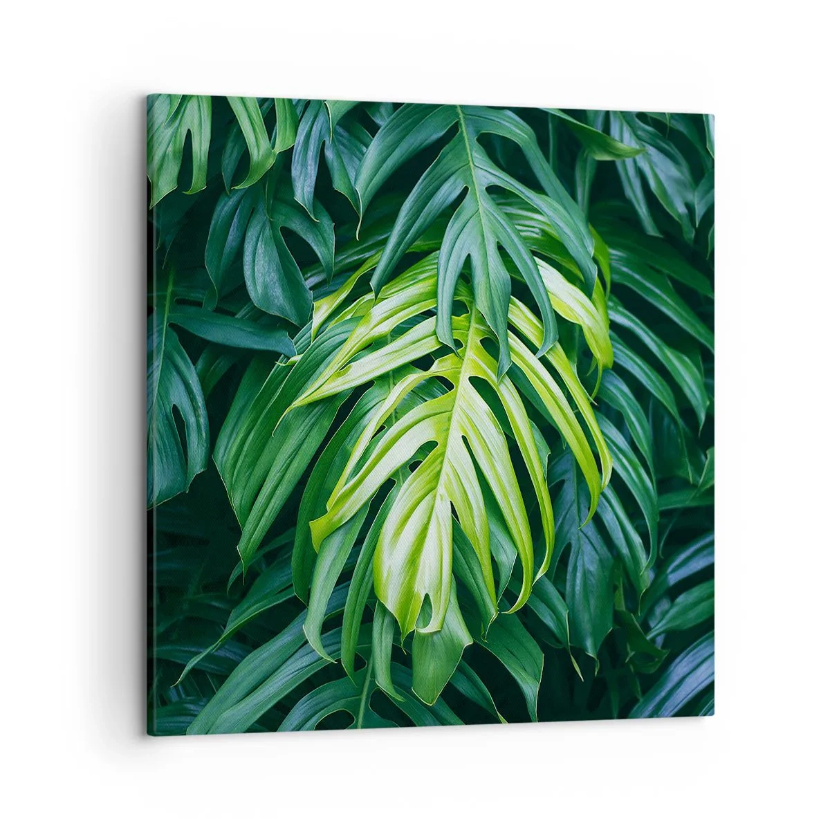 Quadro em tela - Mergulhar no frescor - 50x50 cm