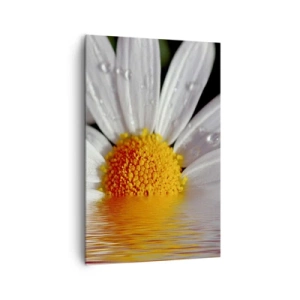Quadro em tela - As margaridas do sol nascente - 80x120 cm