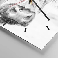 Mostrador com traços