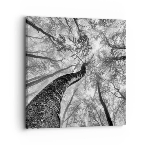 Quadro em tela - Corrida até a luz - 30x30 cm