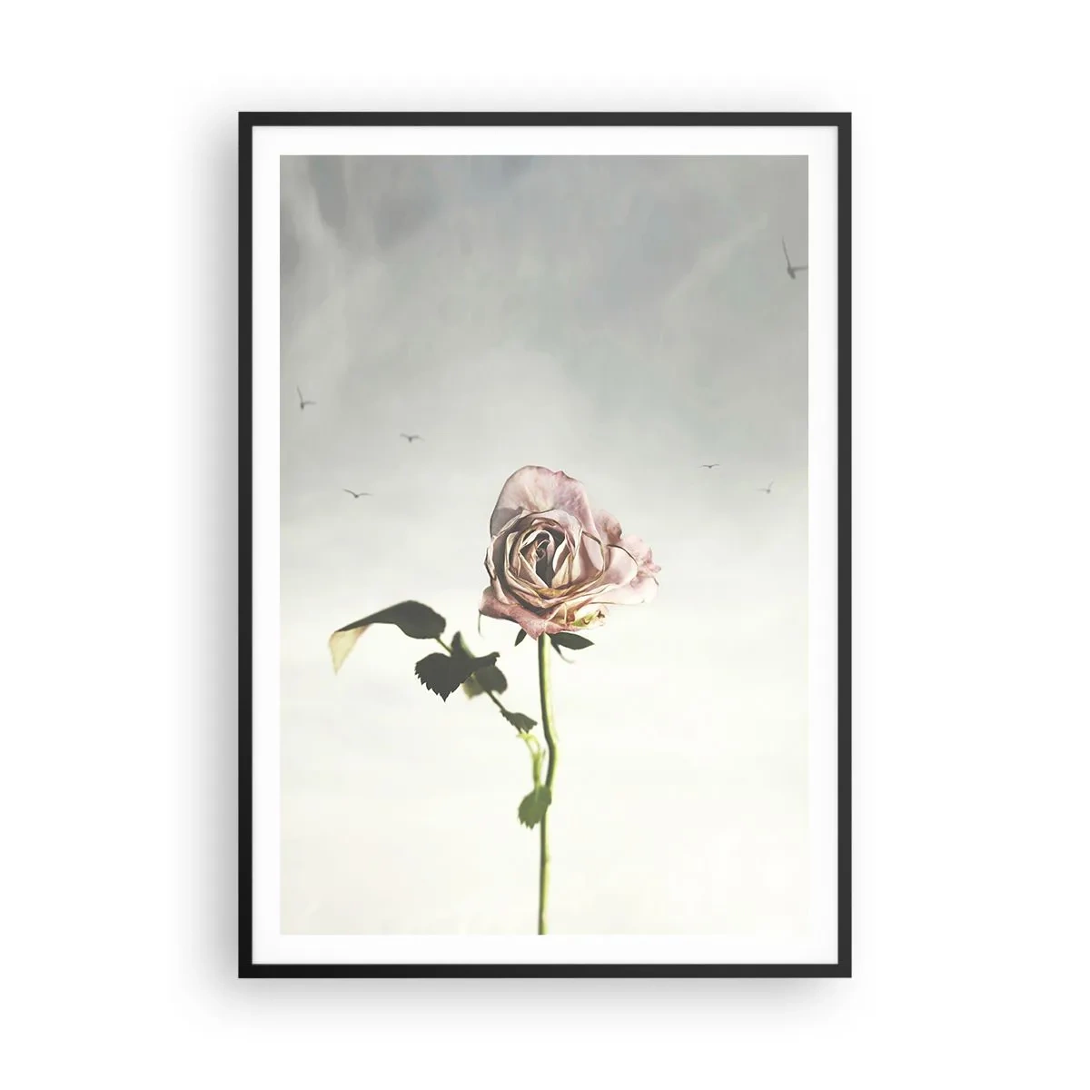 Pôster com moldura preta - Boas-vindas da primavera - 70x100 cm