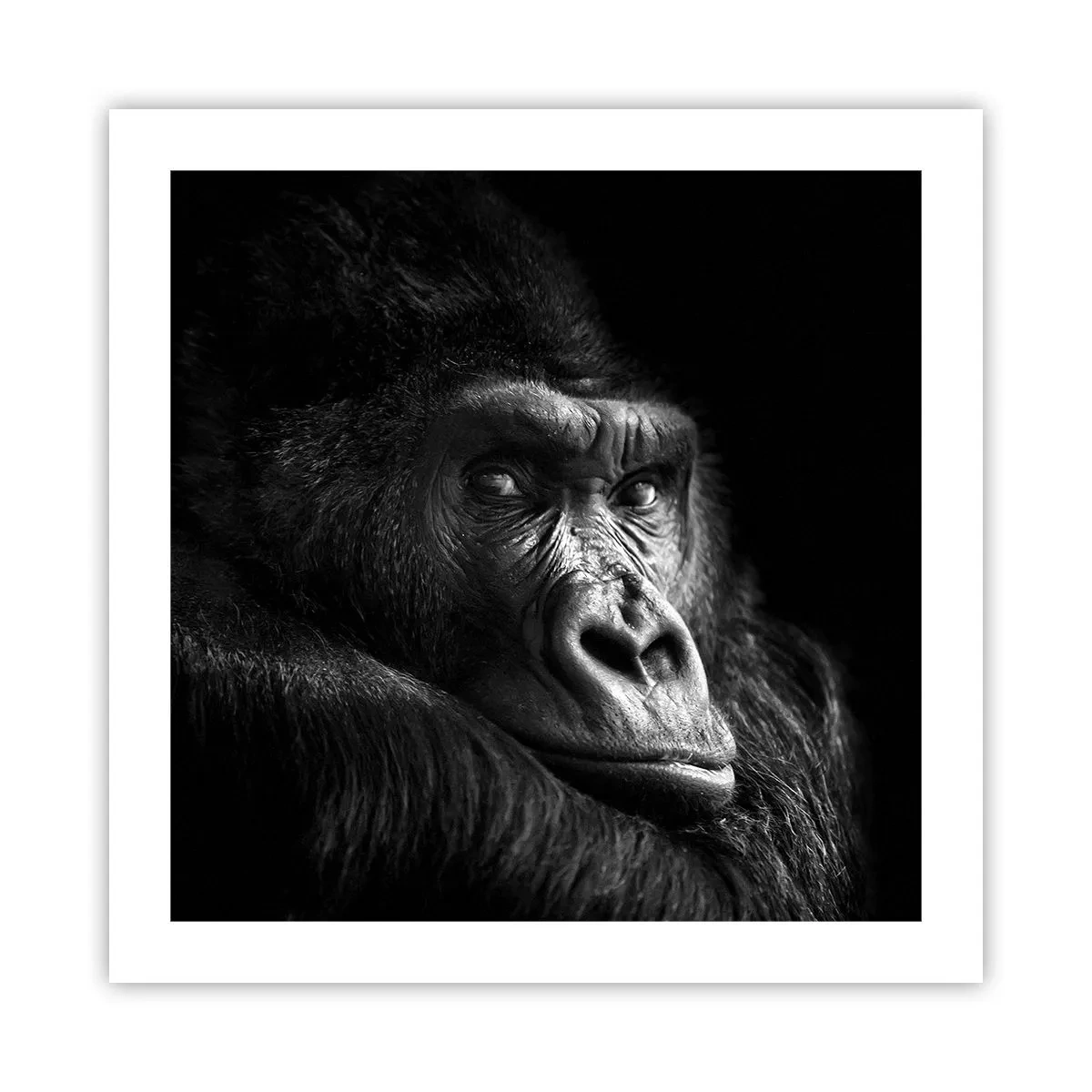 Pôster - E para que é que estás a olhar? - 50x50 cm