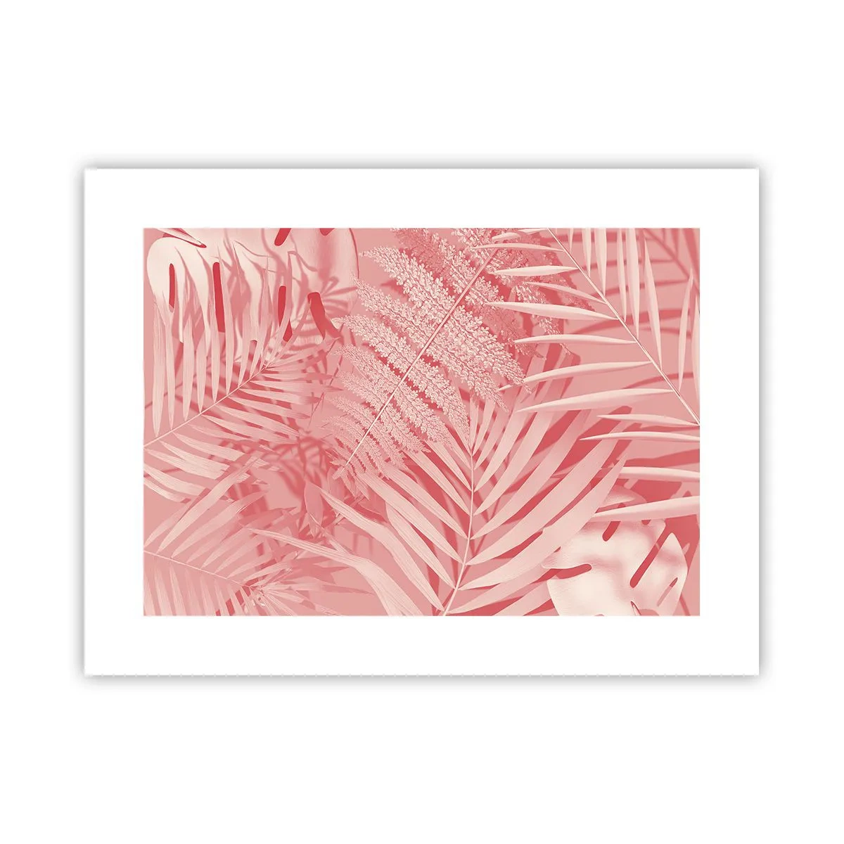 Pôster - Conceito cor-de-rosa - 40x30 cm