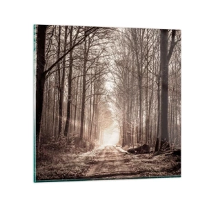Quadro em vidro - Catedral na Floresta - 60x60 cm