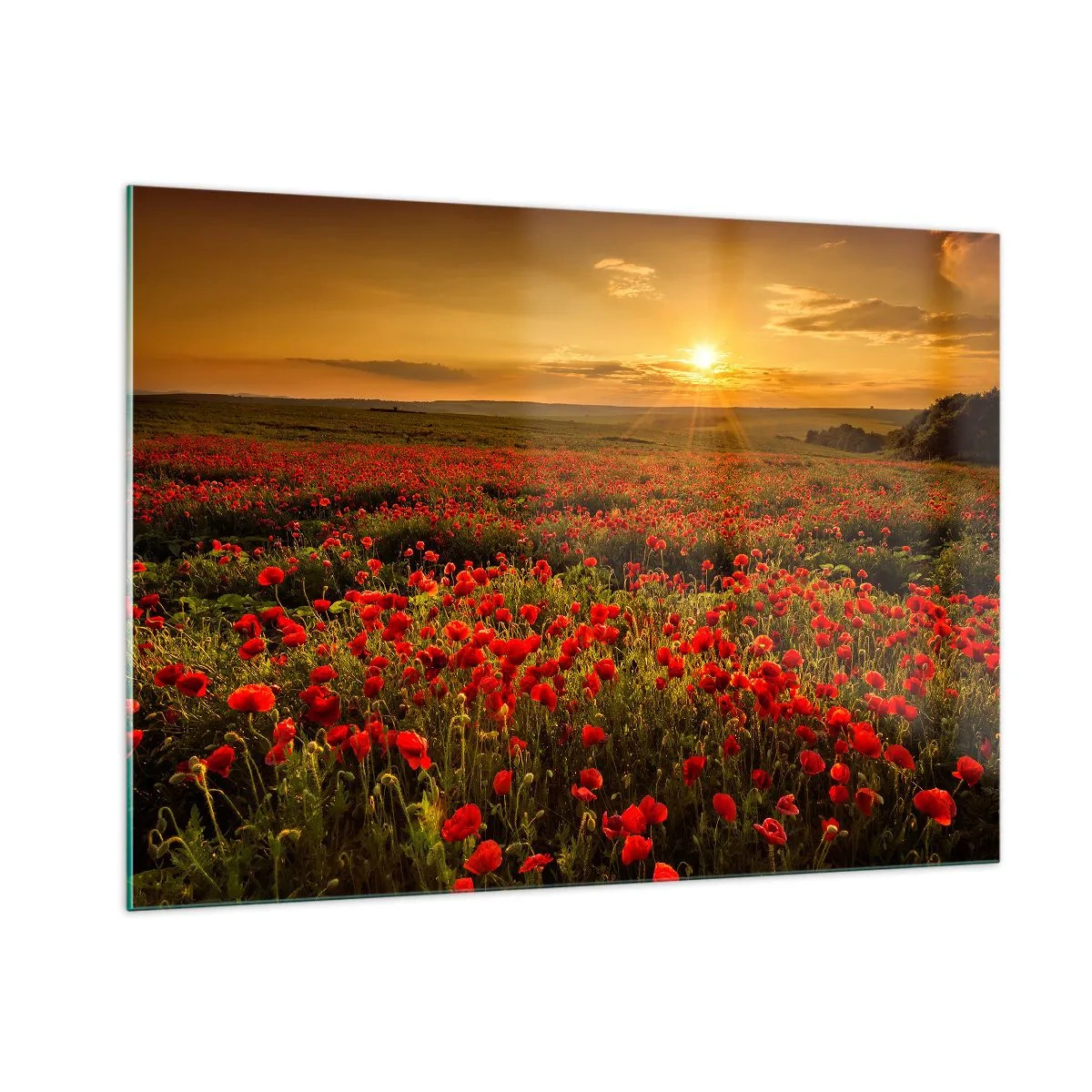 Quadro em vidro - Entre o farfalhar da onda de prados, entre o dilúvio das flores - 100x70 cm