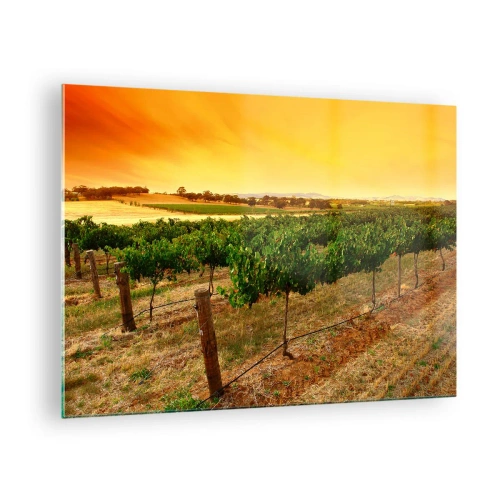 Quadro em vidro - Videiras sob a luz quente do pôr do sol - 70x50cm - Sede de sol - Decoração de parede moderna para a sala de estar e quarto ARTTOR