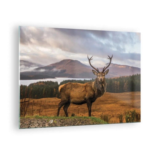 Quadro em vidro - Veados tendo como pano de fundo montanhas e florestas pitorescas - 70x50cm - A majestade da natureza - Decoração de parede moderna para a sala de estar e quarto ARTTOR