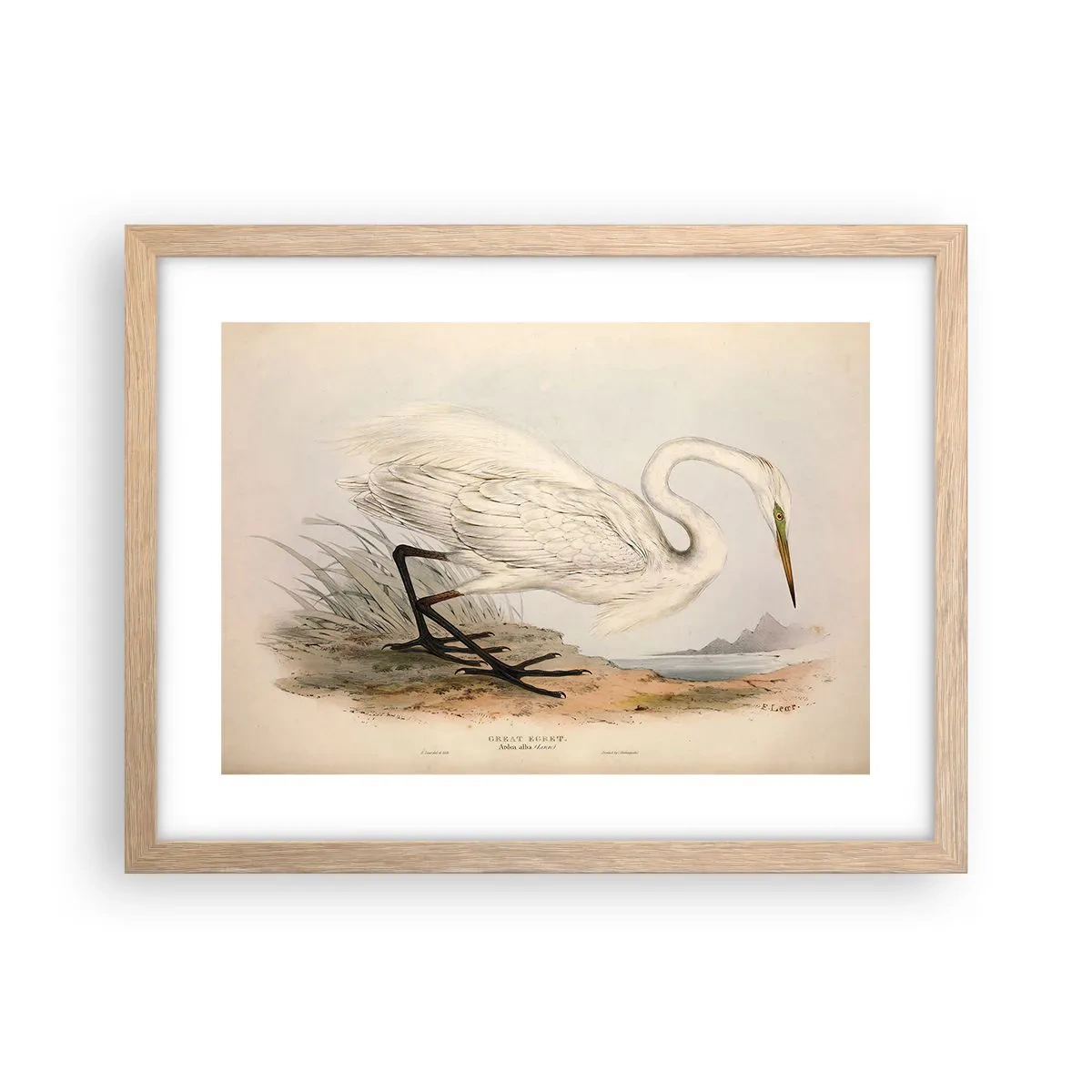 Pôster com moldura de carvalho claro - A senhora nos juncos - 40x30 cm