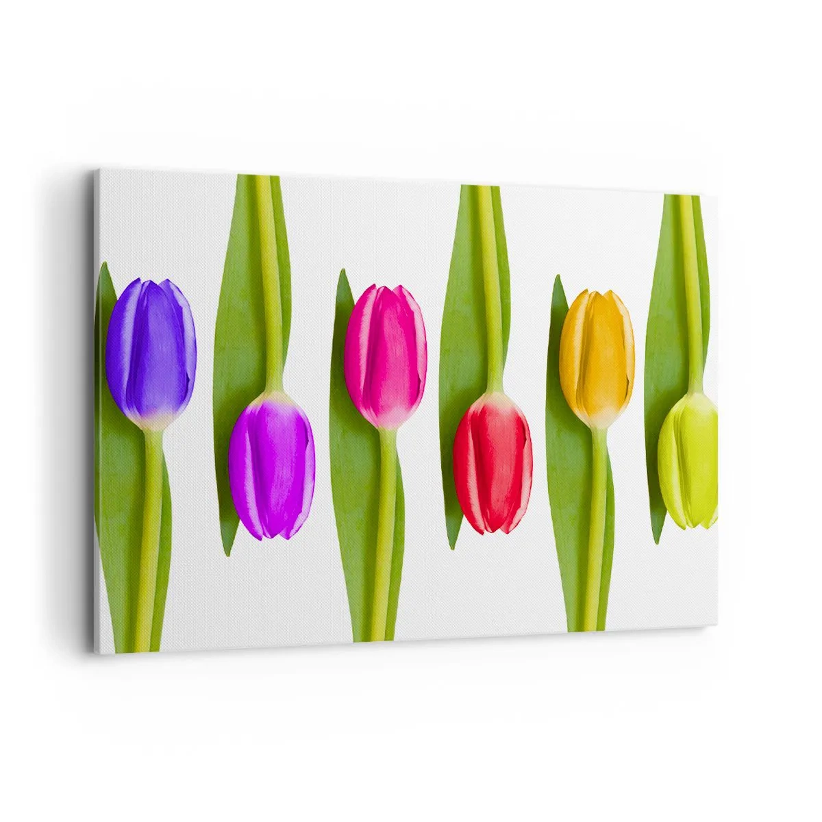 Quadro em tela - Composição arco-íris - 100x70 cm